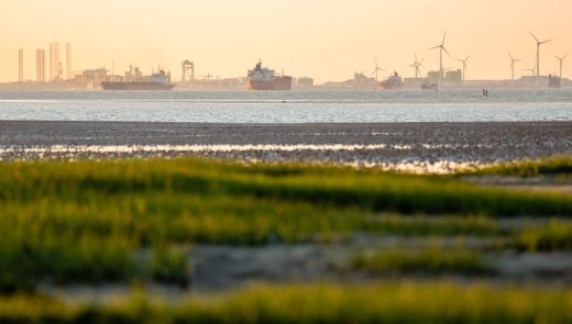 westerschelde